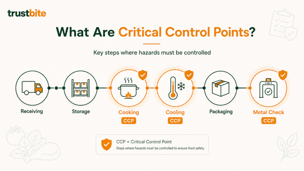 what are critical control points