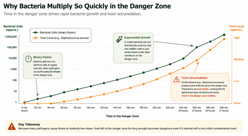 The Food Safety Danger Zone: What It Is and Why Temperature Control Matters 2 Why Bacteria Multiply So Quickly in the Danger Zone